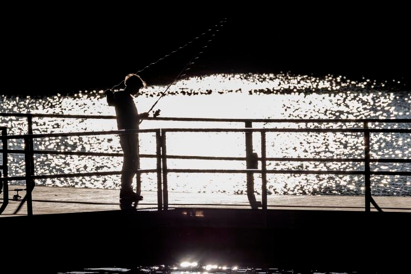 From north to south, California is set to sizzle this weekend. Here are the hottest spots