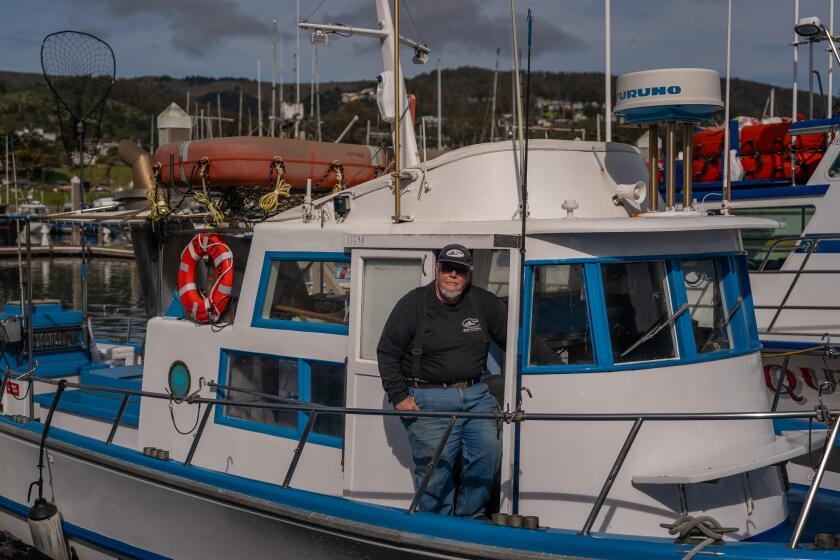 Recreational salmon fishing resumes in California this weekend for limited time