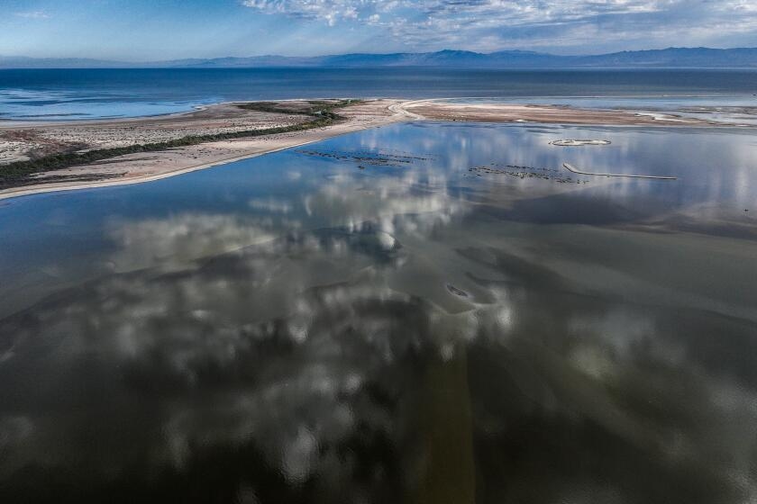 Salton Sea not to blame for Coachella, Imperial air pollution, study says