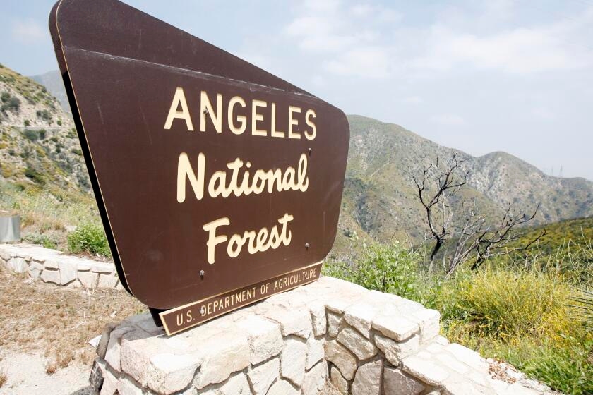 Woman's body found dumped in SoCal forest. Her husband fled the country with their kids, authorities say