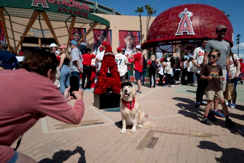 Shaikin: Can the Angels woo fans in the Dodgers' shadow? If they win, the support may come