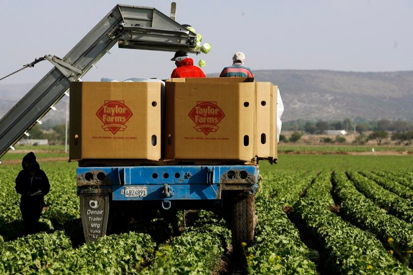 California produce supplier is sued, accused of causing E. coli outbreak unreported by FDA
