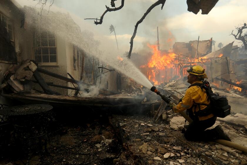 Palisades and Eaton firefighters had elevated blood levels of mercury and lead, according to an early study