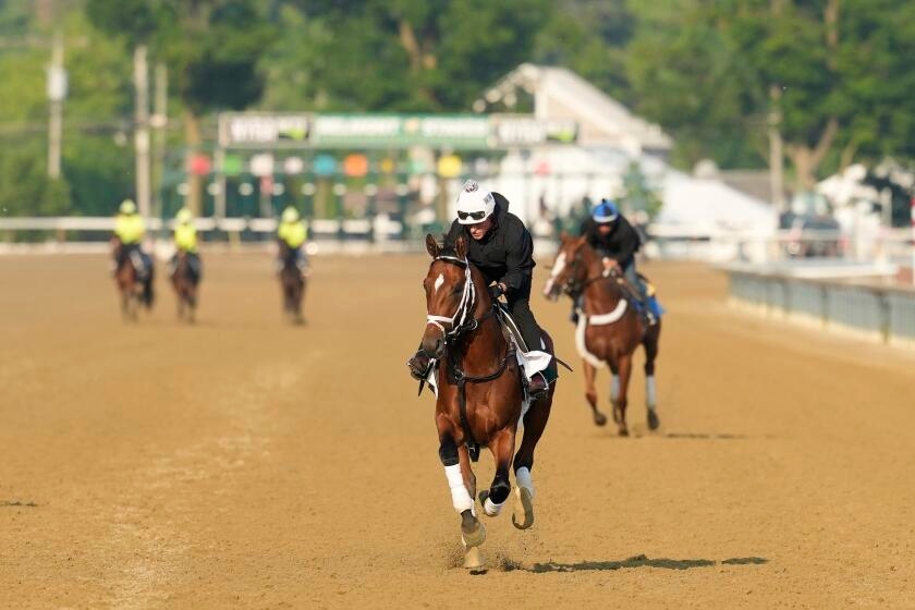 Belmont Stakes has plenty of storylines without a Triple Crown in play