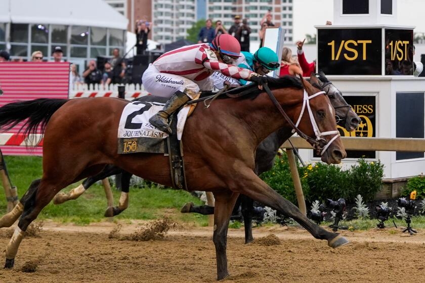 Race favorite Journalism pulls off furious comeback to win 150th Preakness Stakes