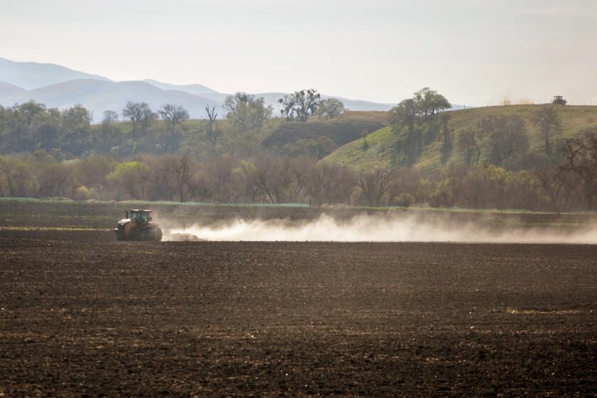 California reports sharp rise in Valley fever cases for first three months of 2025
