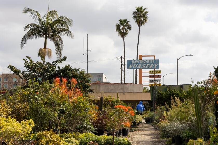 Their grandfather came to America and opened a nursery. A century later, it's closing