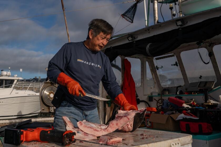 Low salmon numbers in California could prompt shutdown of fishing for a record third straight year