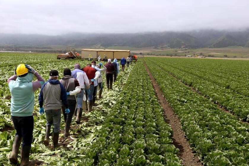 In America's 'salad bowl,' farmers invest in guest worker housing, hoping to stabilize workforce