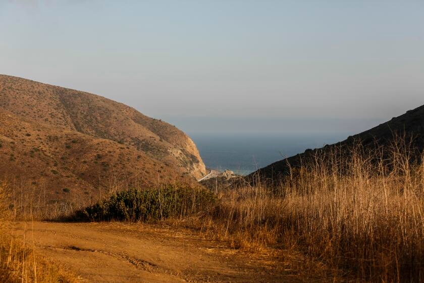 Man and woman found in car along Pacific Coast Highway were dead for several days, police say
