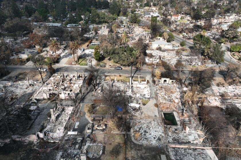 Asian communities faced language barriers during L.A. wildfires, UCLA study says