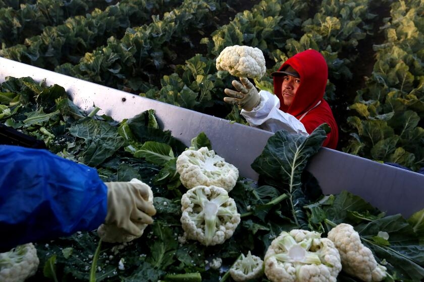 California lawmaker seeks to expand protections for temporary migrant workers