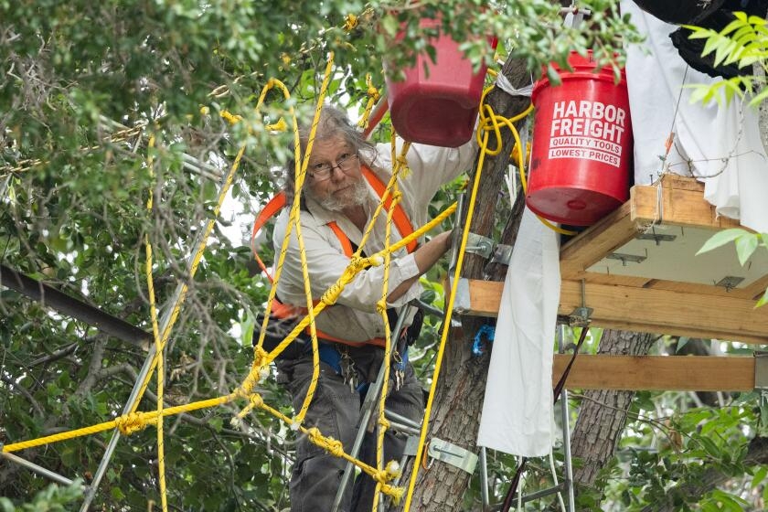 Elderly man builds tree house to protest eviction from state-owned home