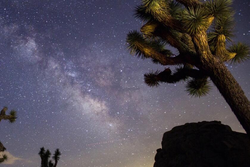 Contributor: The true cost of abandoning science