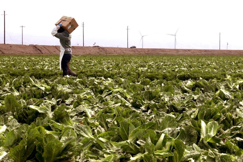 Trump administration reverses USDA office closures in California