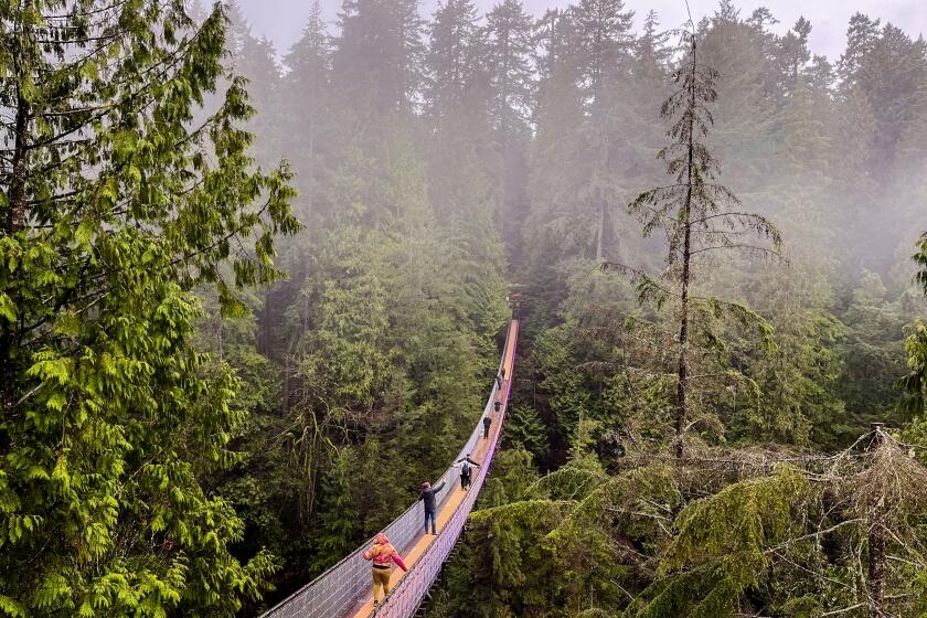 Will Trump's tariffs affect your travel plans to Mexico and Canada?