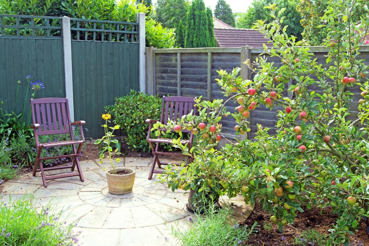 UK households issued garden insurance warning as clocks go forward