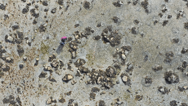 'Ultimate adventure story': Submerged stone circles reveal perilous migration of prehistoric people to far northern Scotland 11,000 years ago