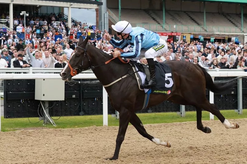 Horse Power: Onesmoothoperator can win the Northumberland Plate again at Newcastle