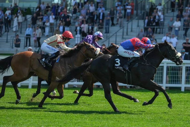 Horse Power: Big Mojo can win the Sandy Lane Stakes at Haydock Park