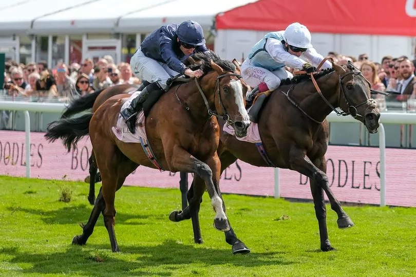 Chester May Festival 2025: Mount Kilimanjaro wins the Dee Stakes