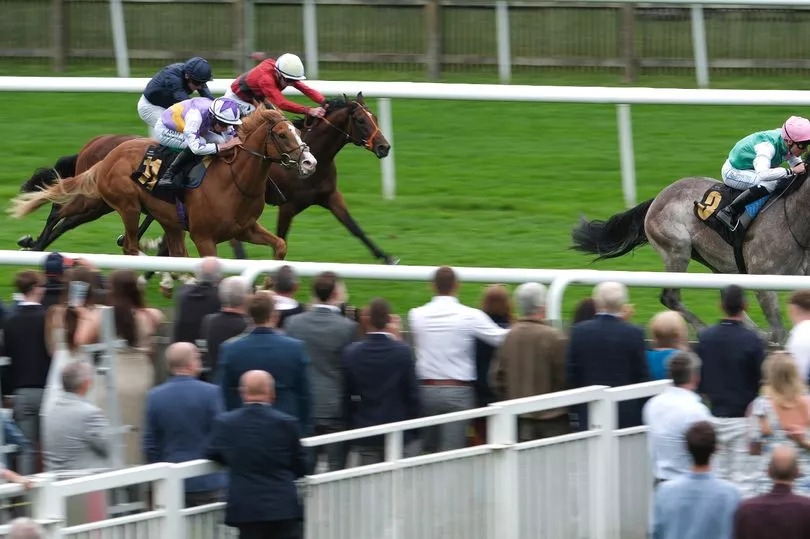 Chester May Festival 2025 day two: Mount Kilimanjaro can win the Dee Stakes
