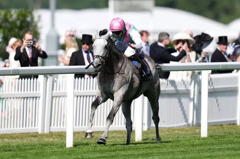 Royal Ascot 2025: Field Of Gold sparkles in the St James's Palace Stakes