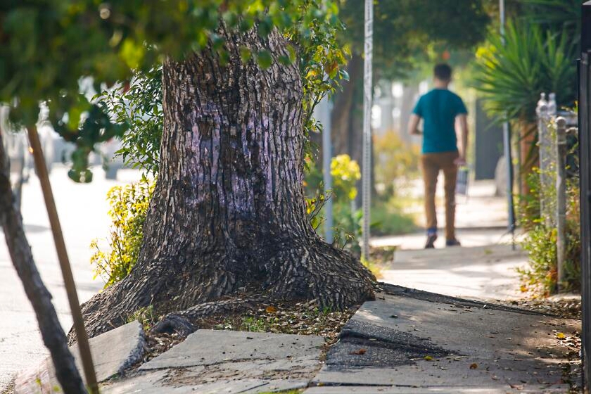 Letters to the Editor: An author's daily walk produces beautiful writing for L.A. Times readers