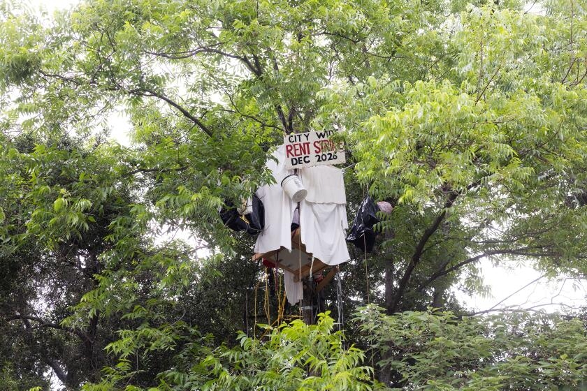 Letters to the Editor: Amid tree house standoff, 'what options do the unhoused have left?'