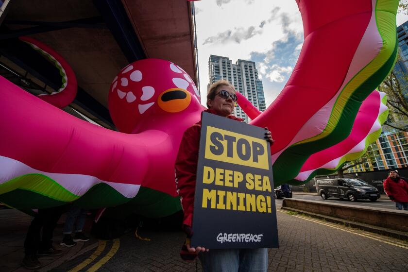 Contributor: Donald Trump's plan for pirate mining