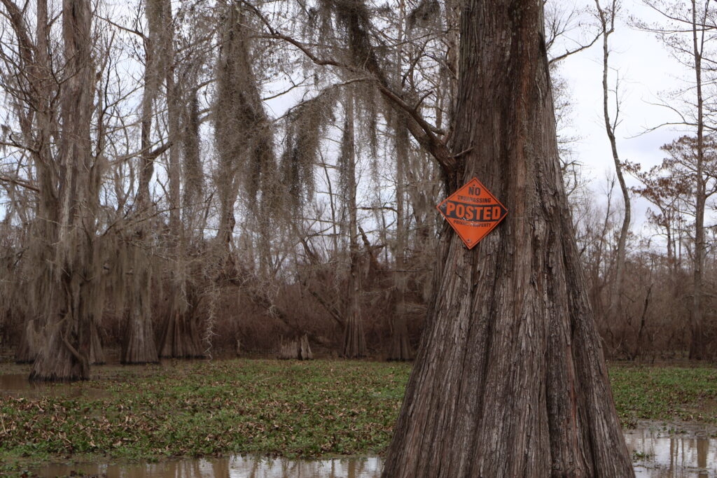 It could soon become easier to build in Louisiana wetlands