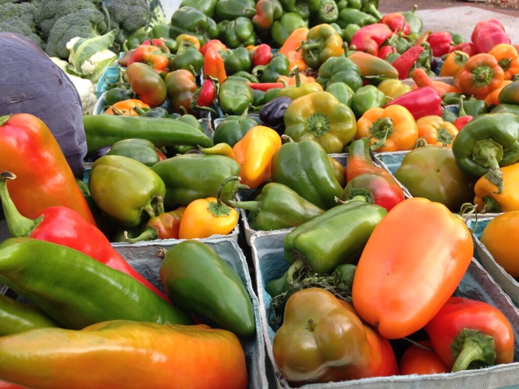Louisiana officials lament loss of USDA money to help schools, food banks buy from local farmers
