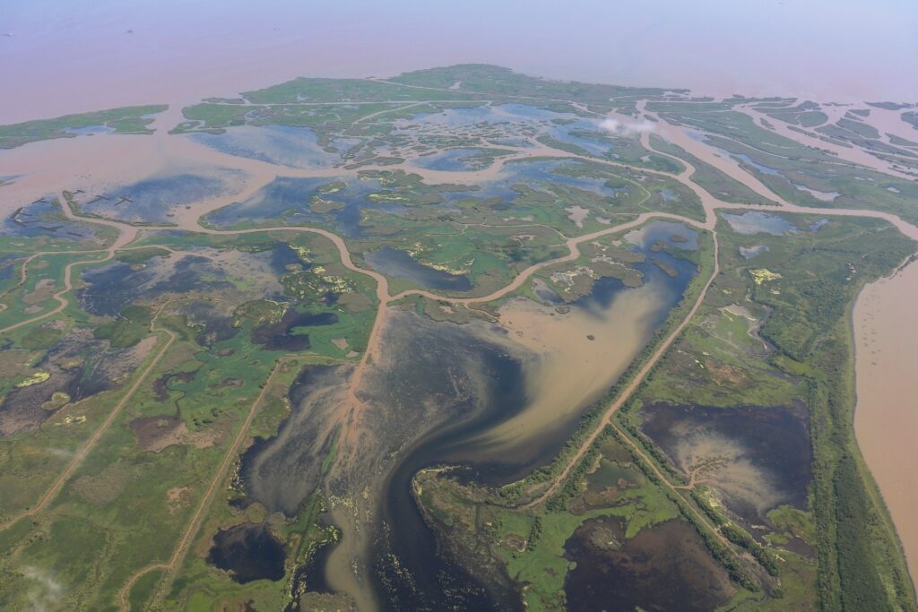 Trump administration cuts could impact efforts to shrink Gulf ‘dead zone'