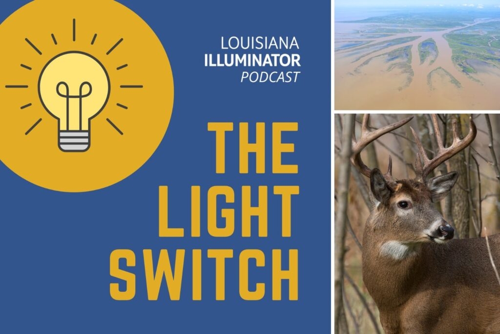 ‘The Light Switch,' Episode 5: Wading through wetlands politics