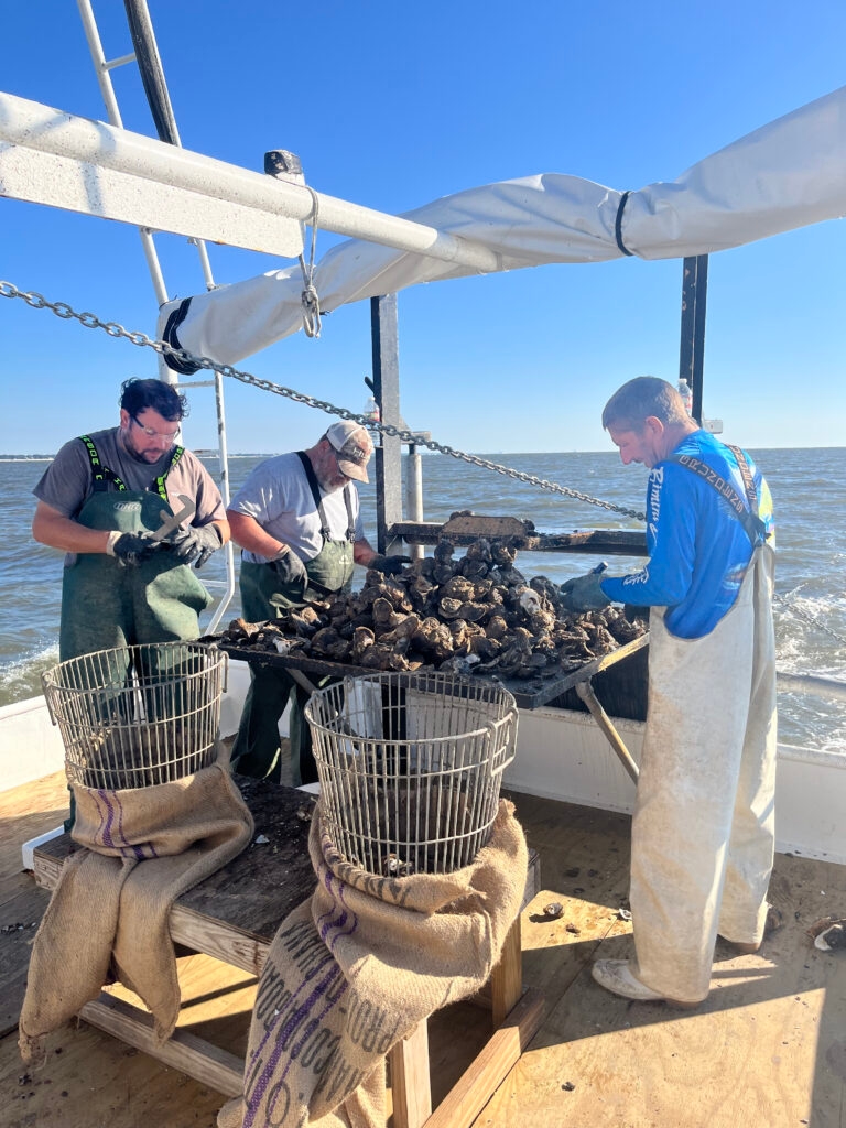 Louisiana shuts down easternmost oyster harvesting areas, recalls mollusks