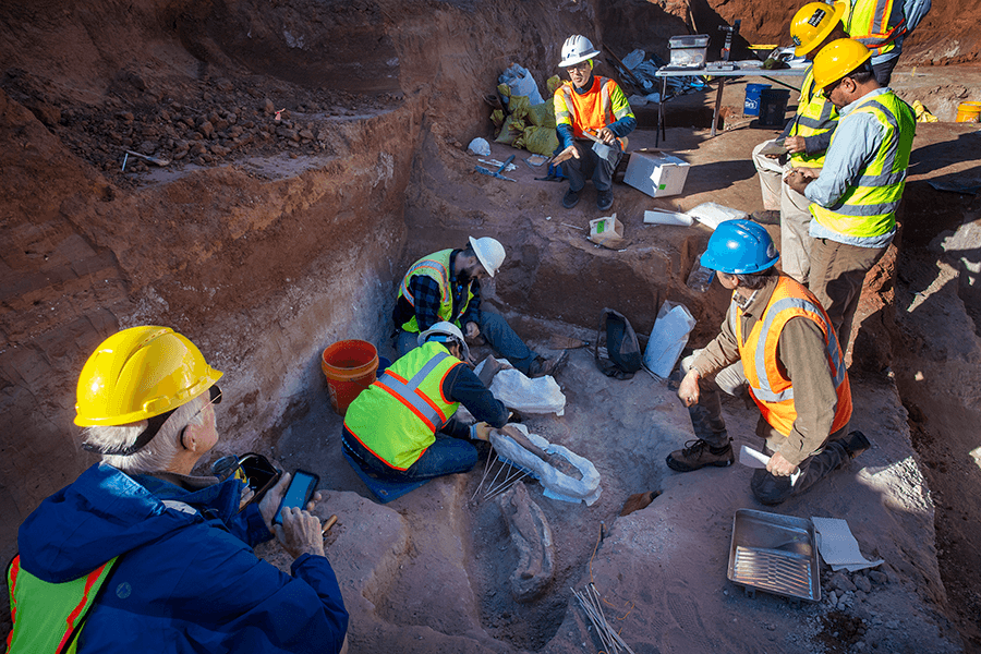 Giant Ground Sloth tooth found during Lubbock road project
