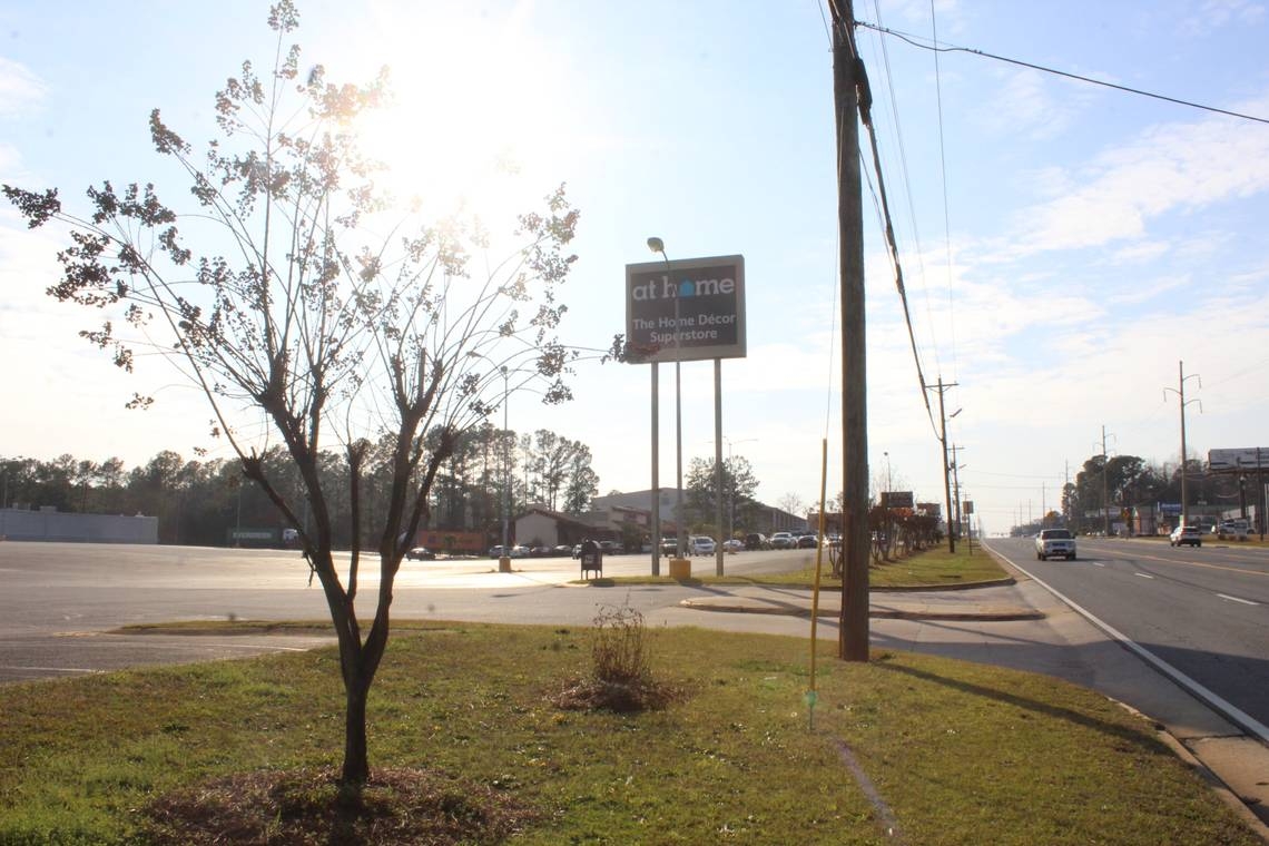 Nobody showed up to political protest after Warner Robins police try to shut it down