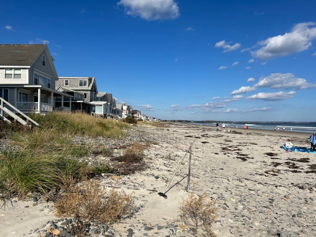 Questions about how updated definition of ‘coastal wetland' would impact landowners, developers