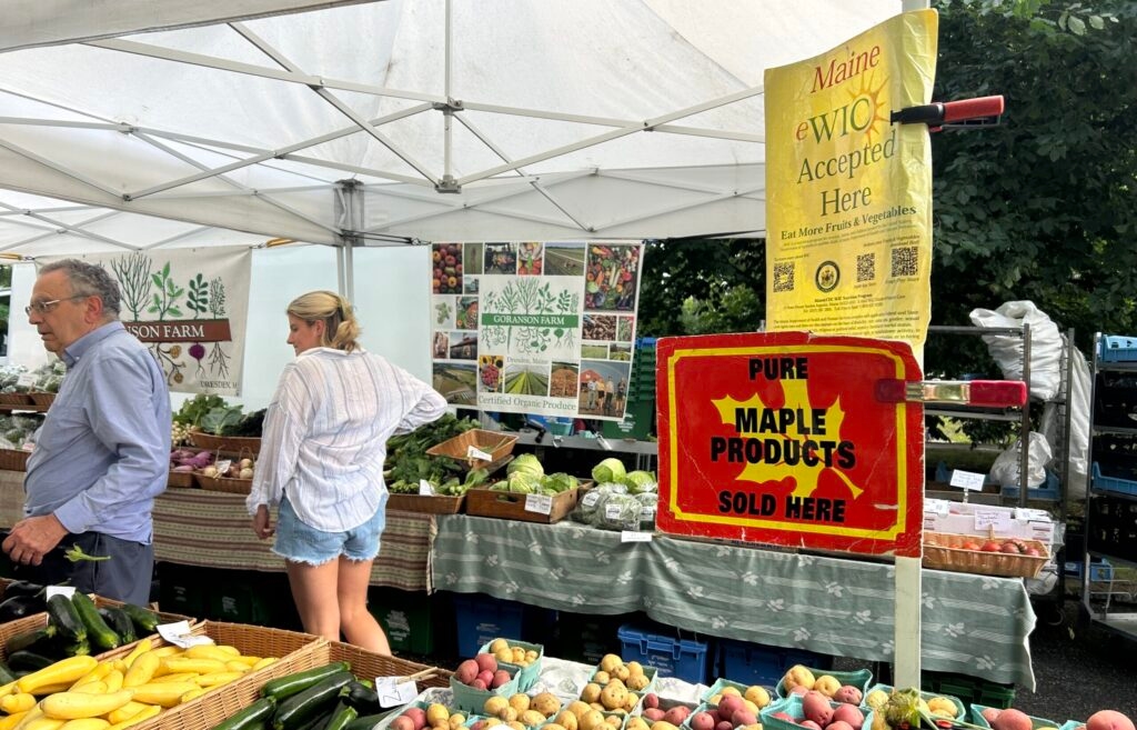 Budget bill threatens Mainers' access to food, health care and other necessities, experts warn