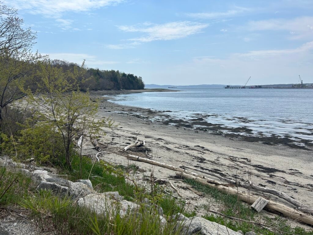 Committee rejects efforts to stymie development of Sears Island wind port