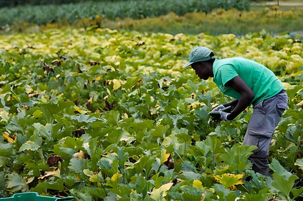 Maine Senate approves farmworker minimum wage bill