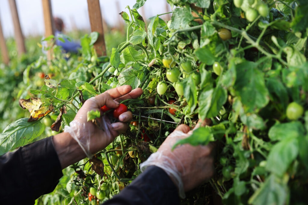 Protections for farmworkers discussing work conditions headed to governor's desk