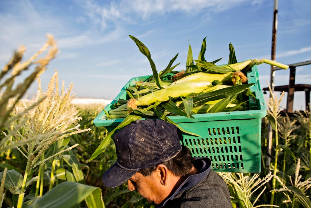 Farmworkers now ‘belong fully' in Maine minimum wage laws