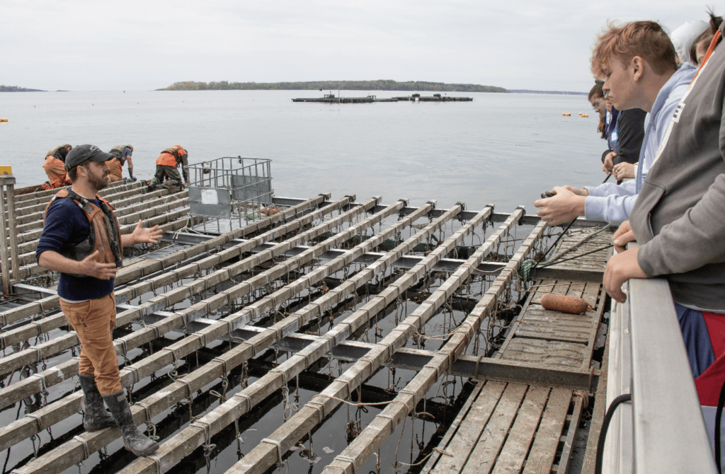 University of Maine receives restored Sea Grant funding