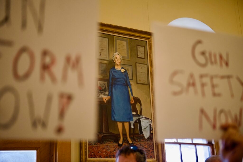Red flag law citizen initiative officially valid to appear on November ballot