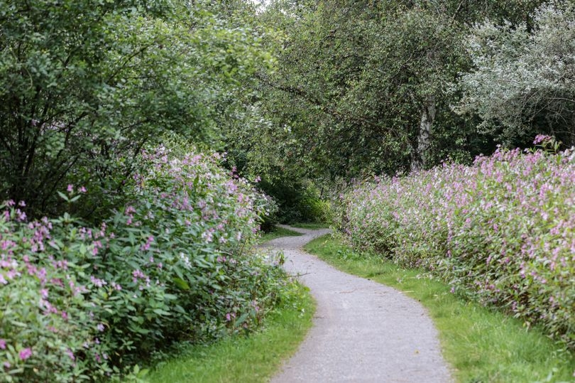The Greater Manchester park that's a piece of the countryside ‘in the middle of suburbia'