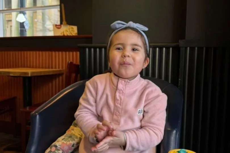 Fundraiser launched to support family of 'wonderful' girl, 3, killed in tram and van crash