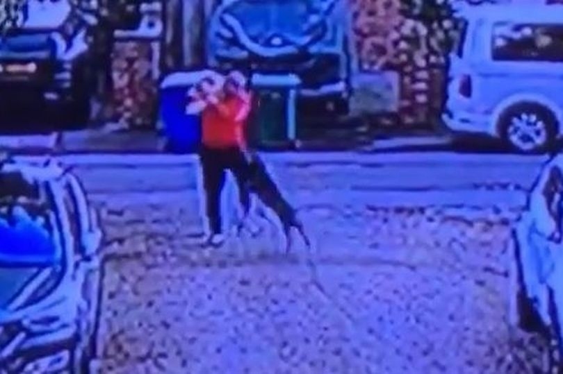 Terrified family who were viciously attacked by dog suddenly told 'crime is closed' by police