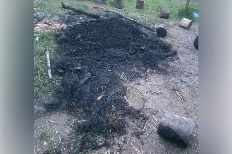 Warning issued as 'mindless' vandals keep setting fires near primary school