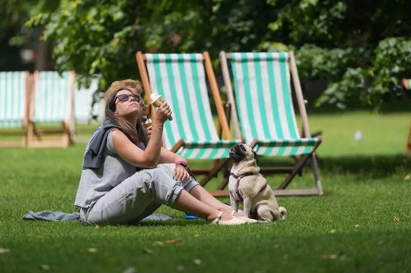 Heatwaves and hot summer 'twice as likely' after sunniest spring on record